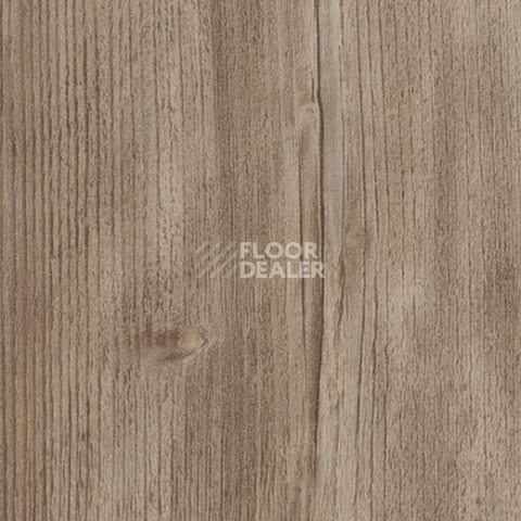 Кварцвиниловые полы Forbo Allura Click 60085CL5 weathered rustic pine фото 1 | FLOORDEALER